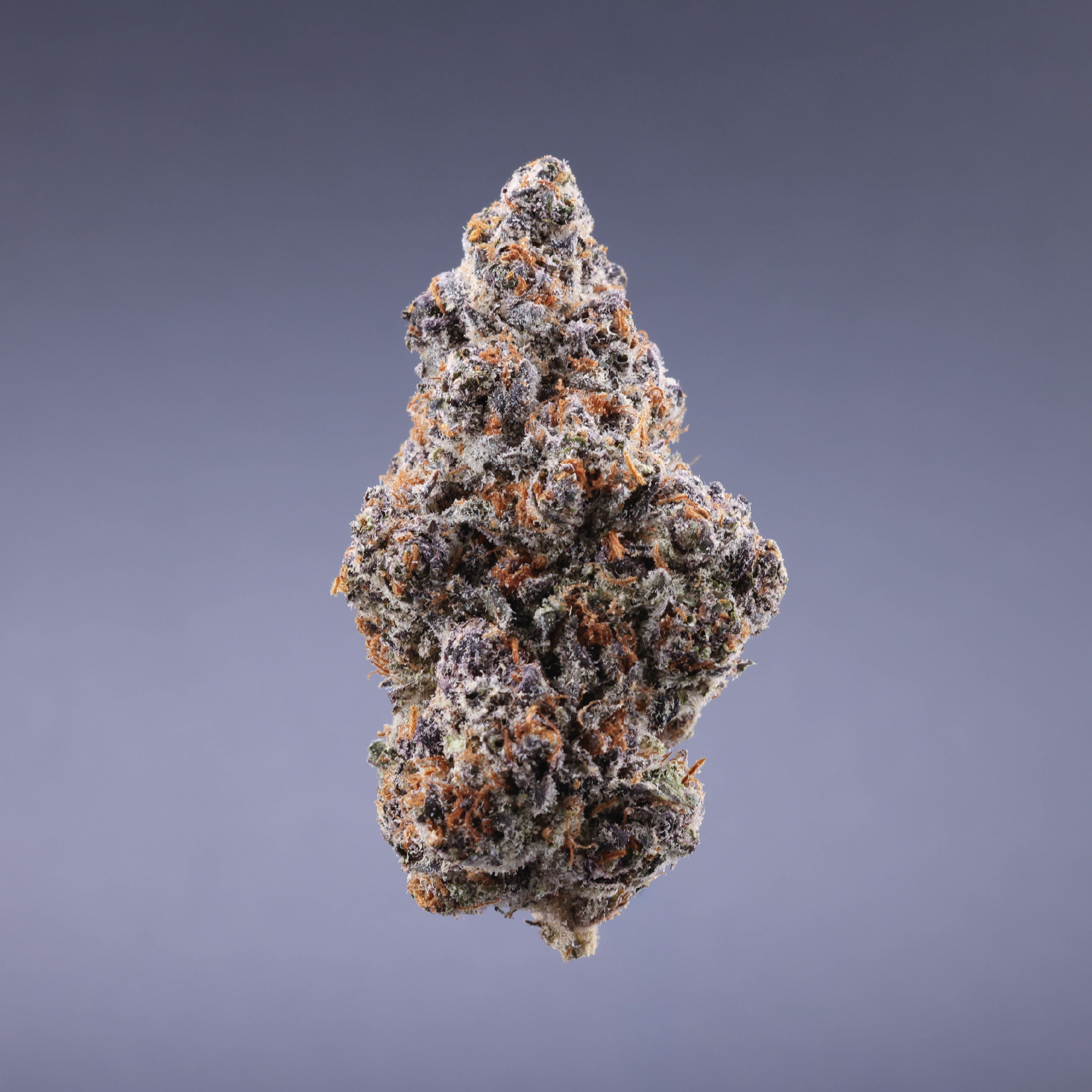 Ignite Cannabis